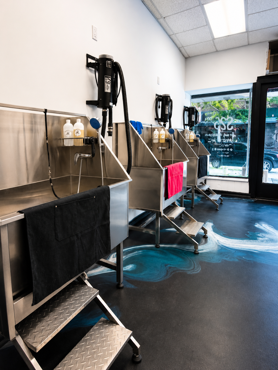 Fresh Paws wash stations with raised tubs, steps, and wall-mounted dryers